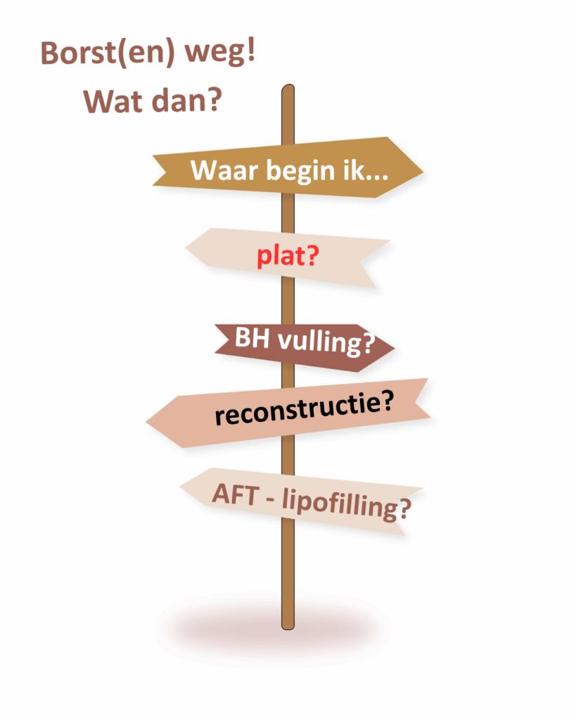 Borsten reconstructie